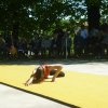 Gli Spettacoli - Palestra Daverio - Festa 25 Aprile 2016